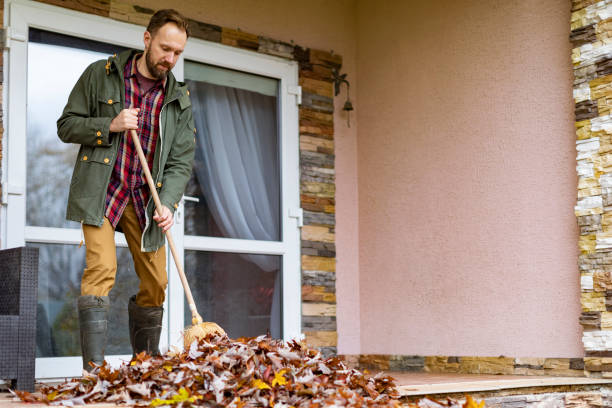 Best Dumpster Rental Services  in Demorest, GA